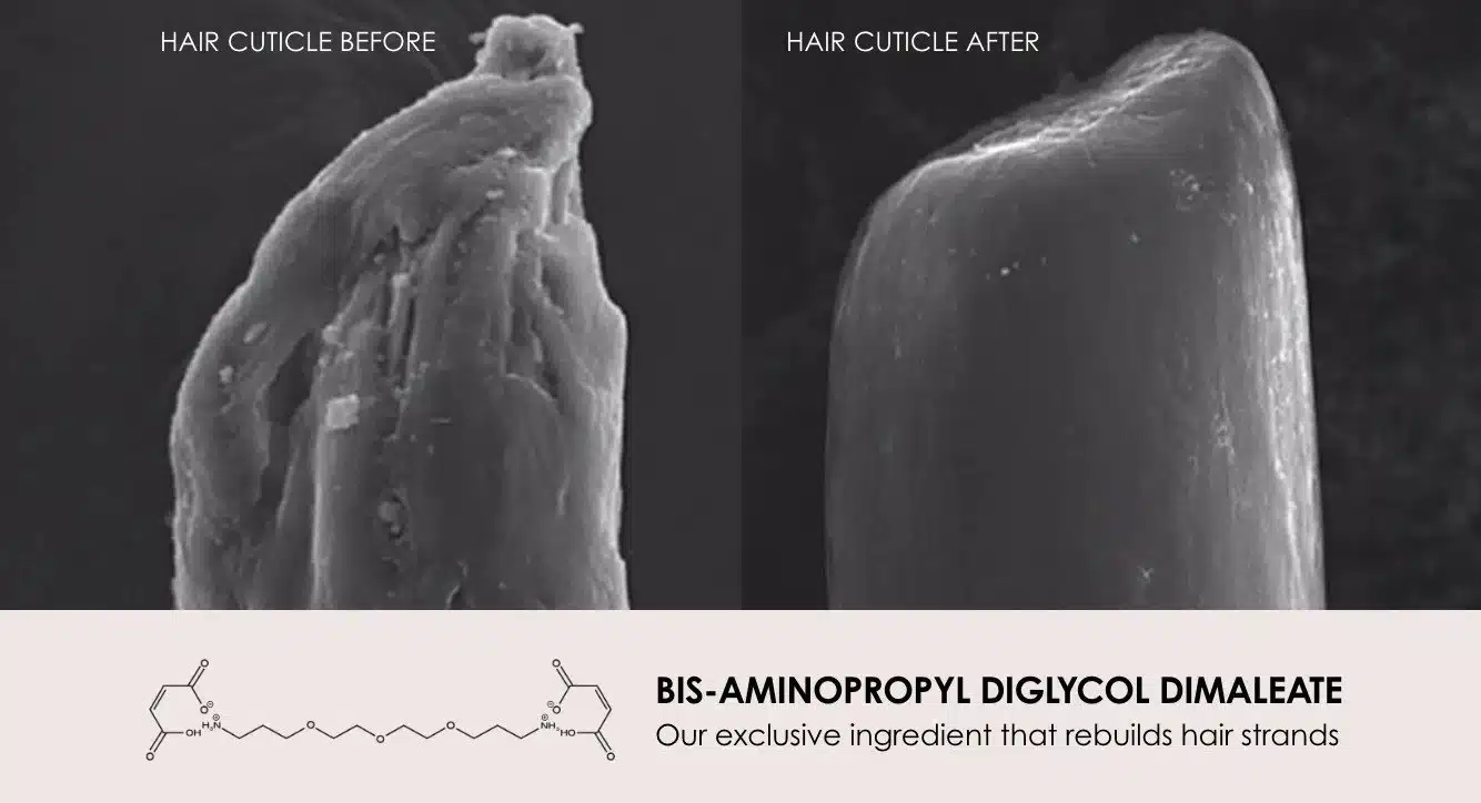 SciencePage hair cuticle before and after Disulfide bond healing